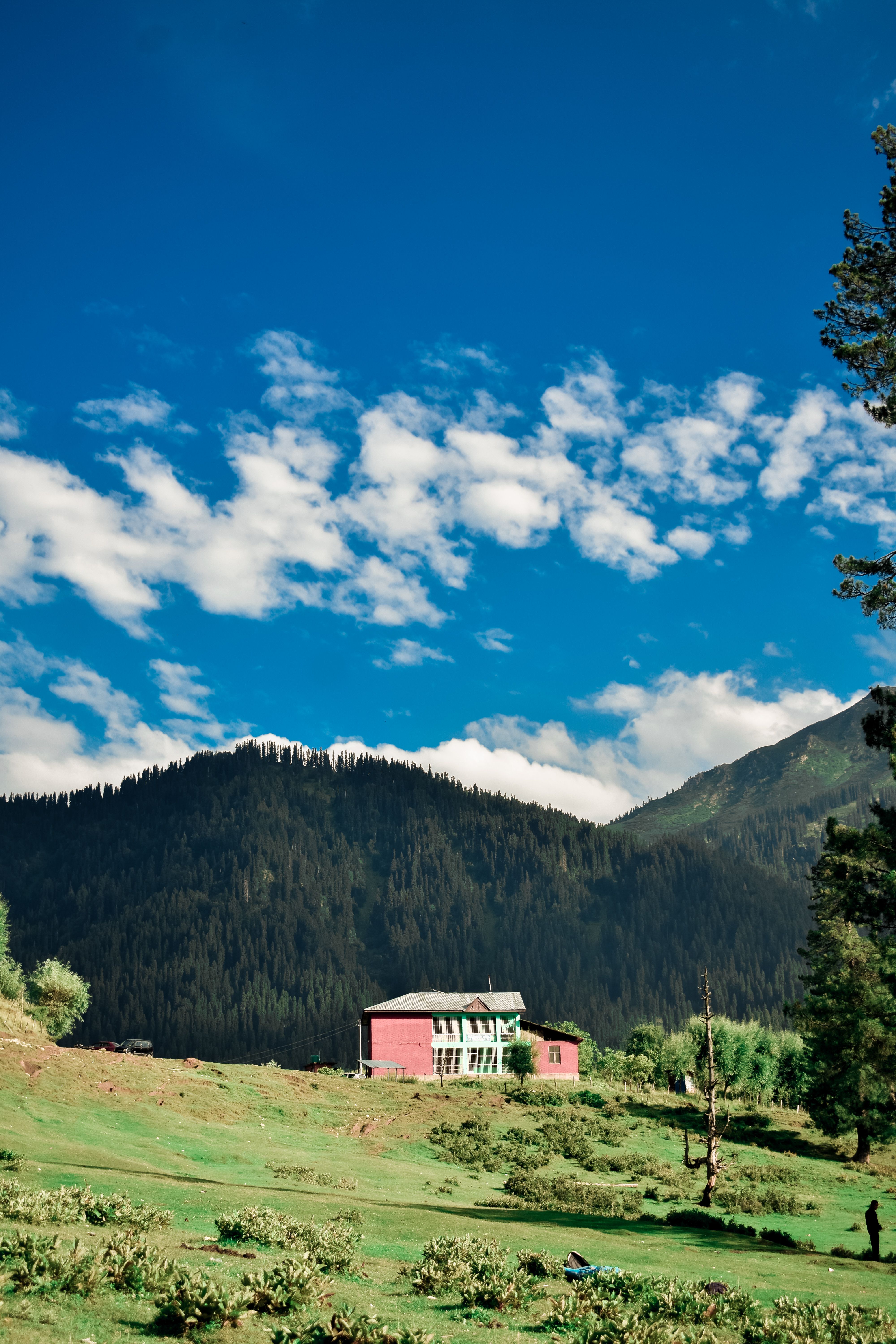 Wooden Cabin In Mountains Free Stock Photo