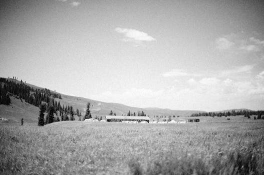 Serene black and white landscape featuring rolling hills and a wide sky, emphasizing natural beauty.