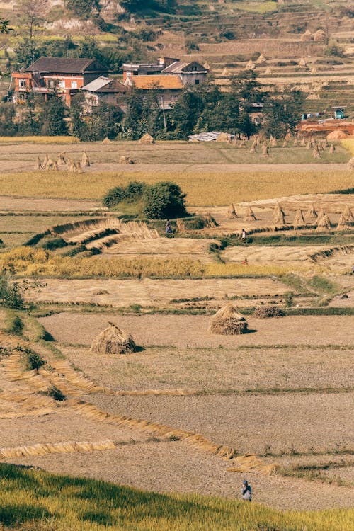 Fotobanka s bezplatnými fotkami na tému dedinský, hracie pole, letecké snímkovanie