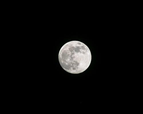 Free Full Moon in the Dark Night Sky Stock Photo