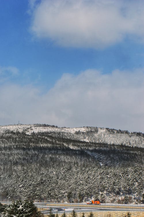 Landscape of a Snowy Hill 