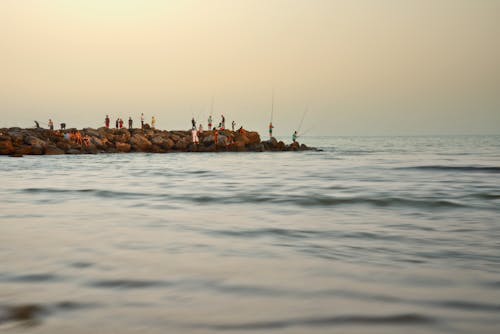 Free People Fishing on a Shore Stock Photo
