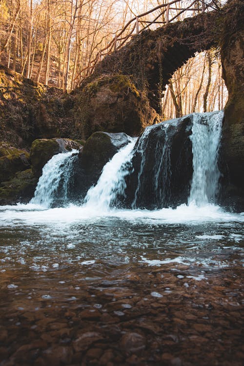 Free Waterfalls in a Forest Stock Photo