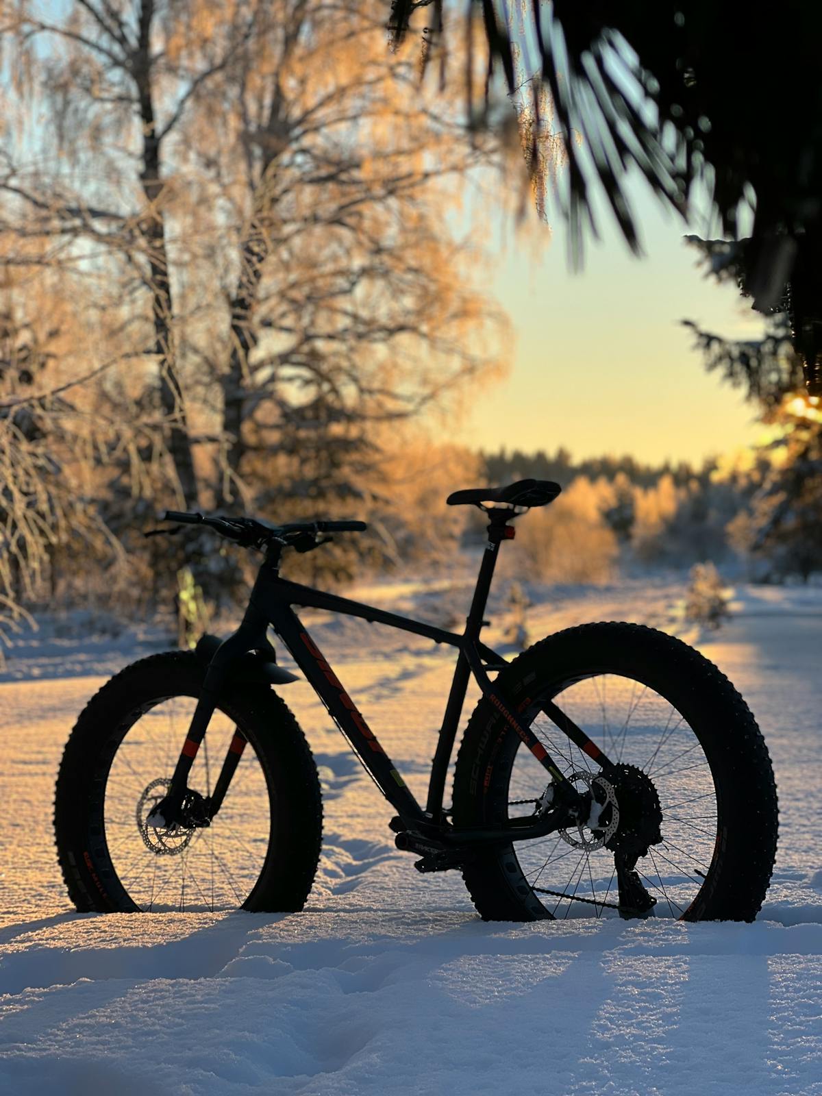 Fat bike standing in a snow-covered landscape silhouetted against a winter sunset