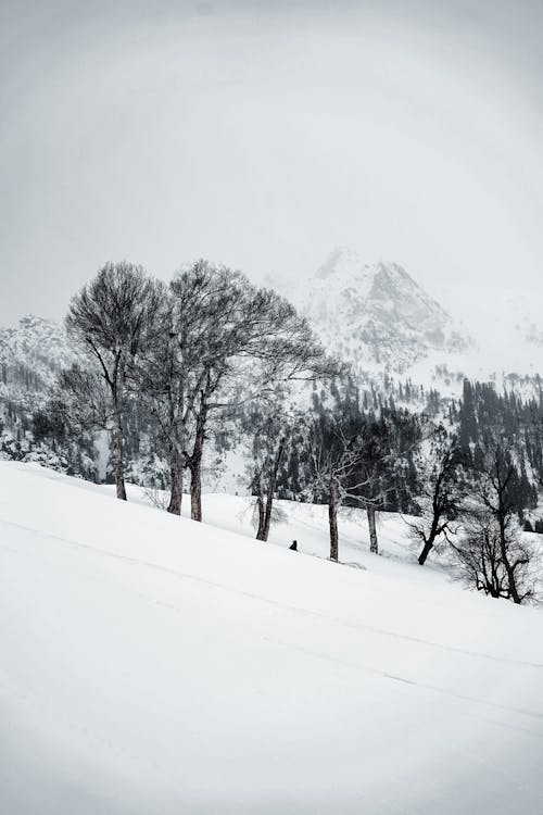 Základová fotografie zdarma na téma hora, kopec, krajina