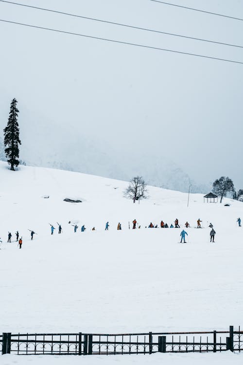 Foto stok gratis bermain ski, dingin, manusia