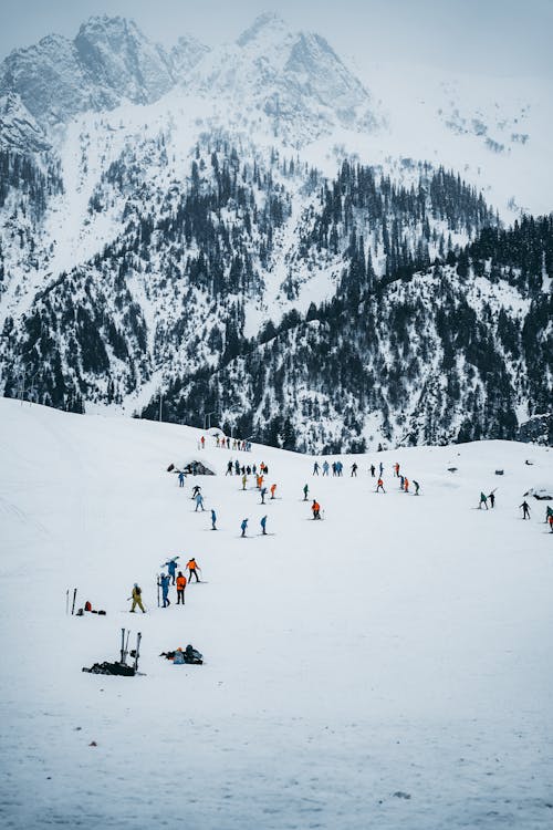 Free People Skiing on a Snow Covered Field Stock Photo