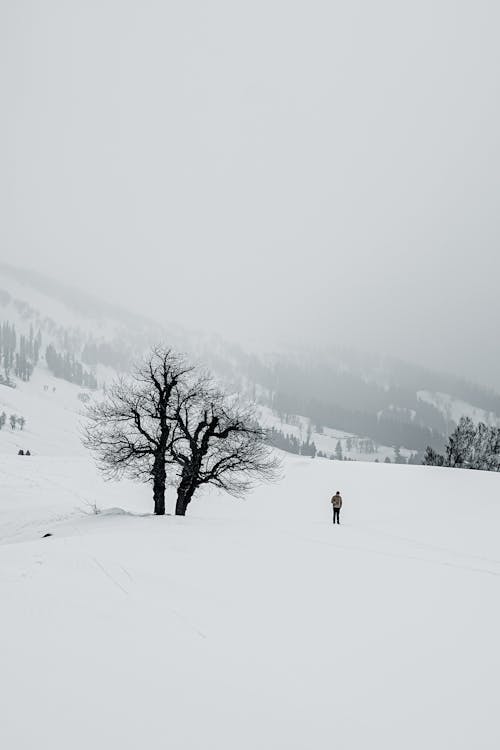 Immagine gratuita di collina, inverno, neve