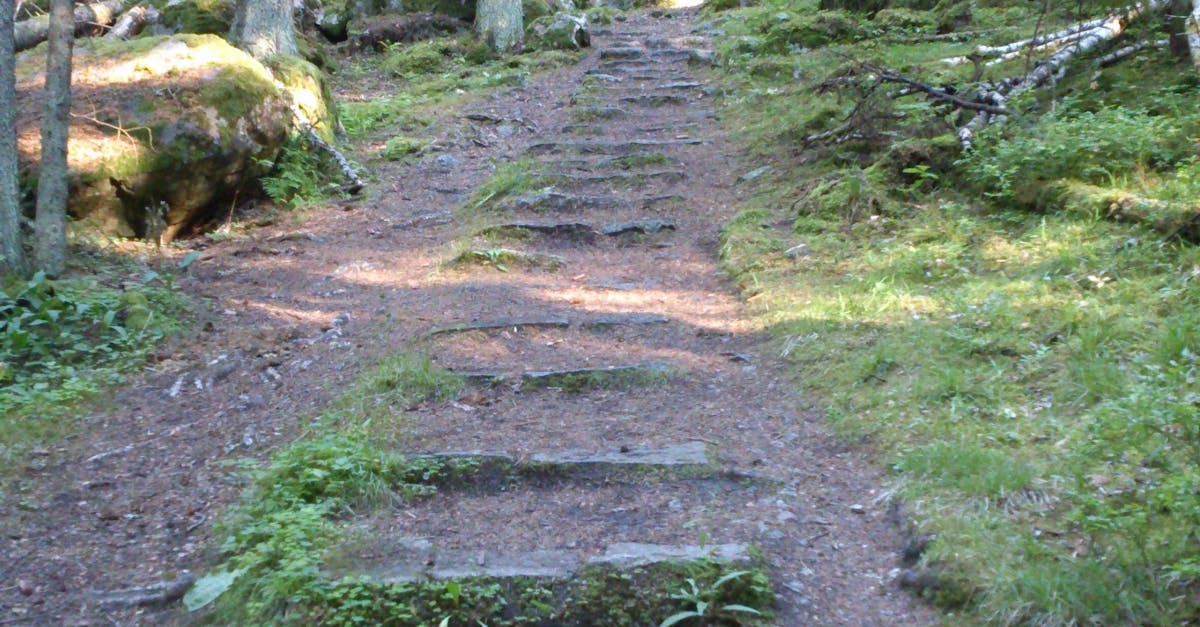 Free stock photo of stone stairs in the wood