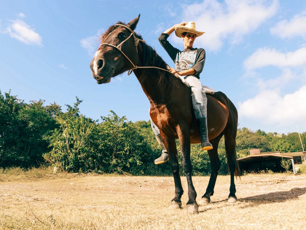 Operate Man Riding A Man Riding a Horse · Free Stock Photo