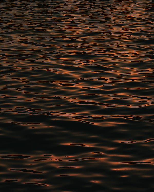 물, 수직 쐈어, 어두운의 무료 스톡 사진