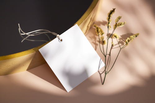 คลังภาพถ่ายฟรี ของ กระดาษ, การ์ด, ดอกไม้