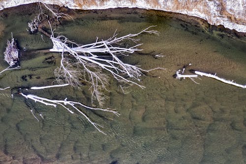 Kostenloses Stock Foto zu äste, drohne erschossen, fluss