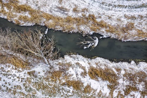 Ingyenes stockfotó drónfelvétel, fák, folyó témában