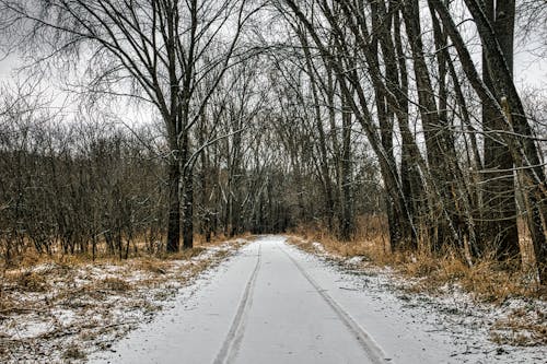 Ilmainen kuvapankkikuva tunnisteilla flunssa, hiekkatie, jääkylmä