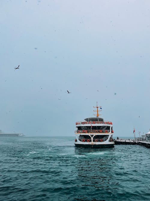 Photos gratuites de amarré, bateau de croisière, embarcation