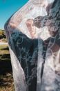 Woman in White Wedding Dress
