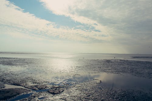 北海, 海岸 的 免費圖庫相片