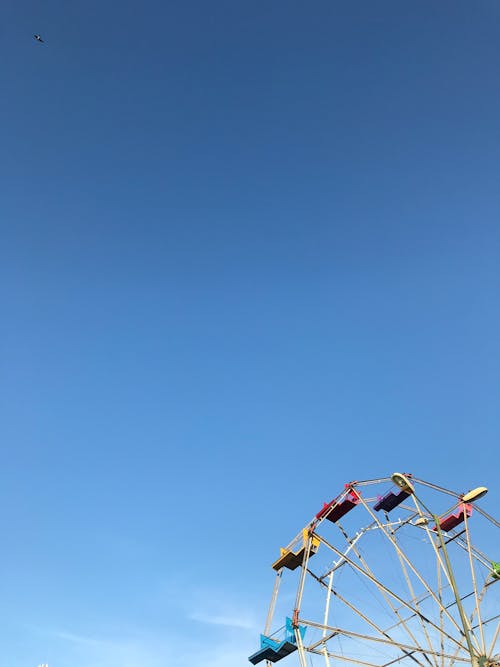 Imagine de stoc gratuită din cer albastru, fotografiere verticală, plimbare cu amuzament