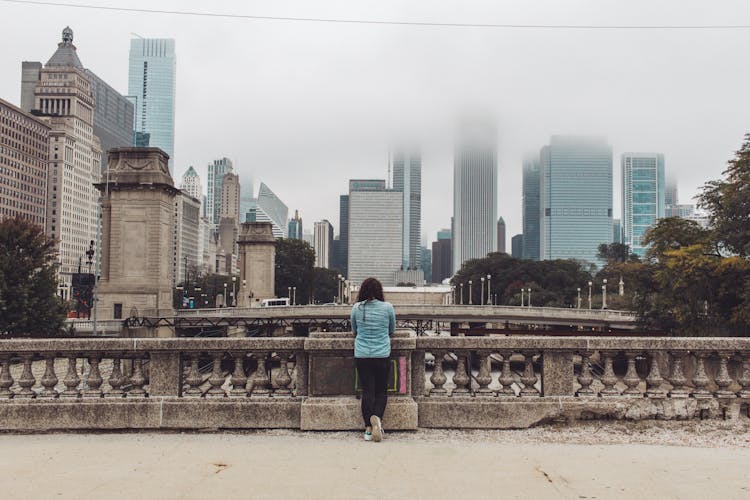 View Of The Chicago City Skyline