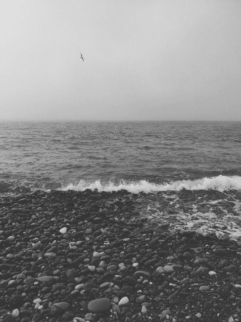 Serene black and white view of the rocky Batumi coast, Adjara, Georgia.