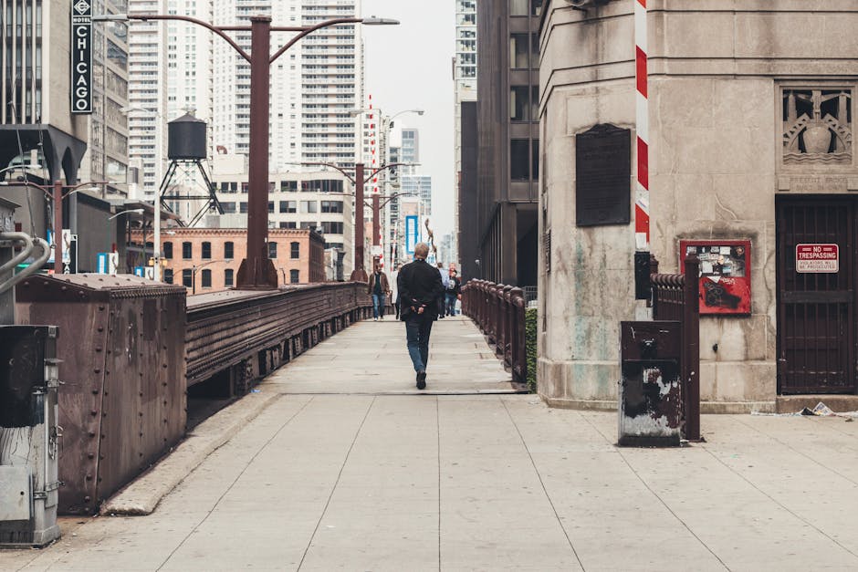 Chicago skyline with resident walking dog along tree-lined street - 2 bedroom apartments that allow pets Chicago skyline with resident walking dog along tree-lined street - 2 bedroom apartments that allow pets