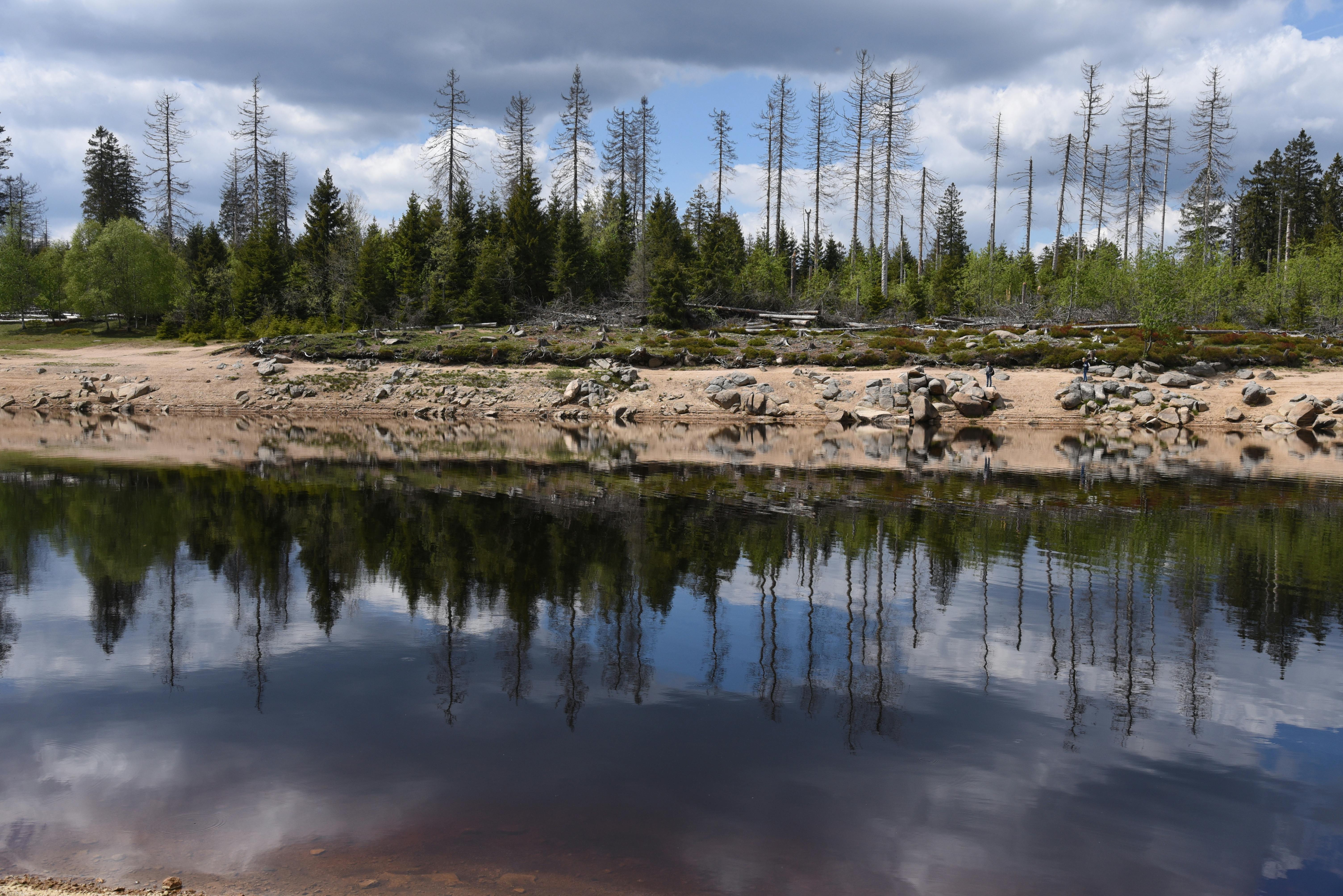 Photo of Harz National Park