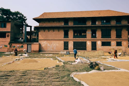 People Working on a Field 