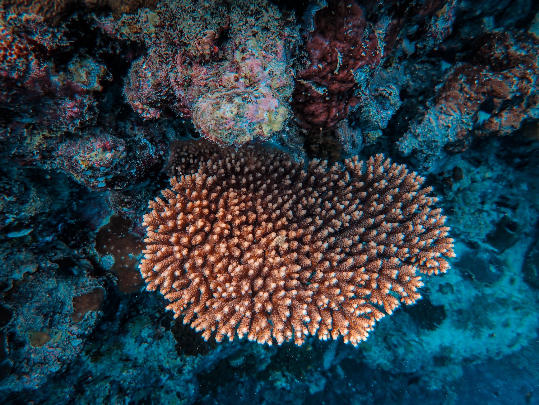 Photo of Vava'u