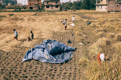 People Working on Field