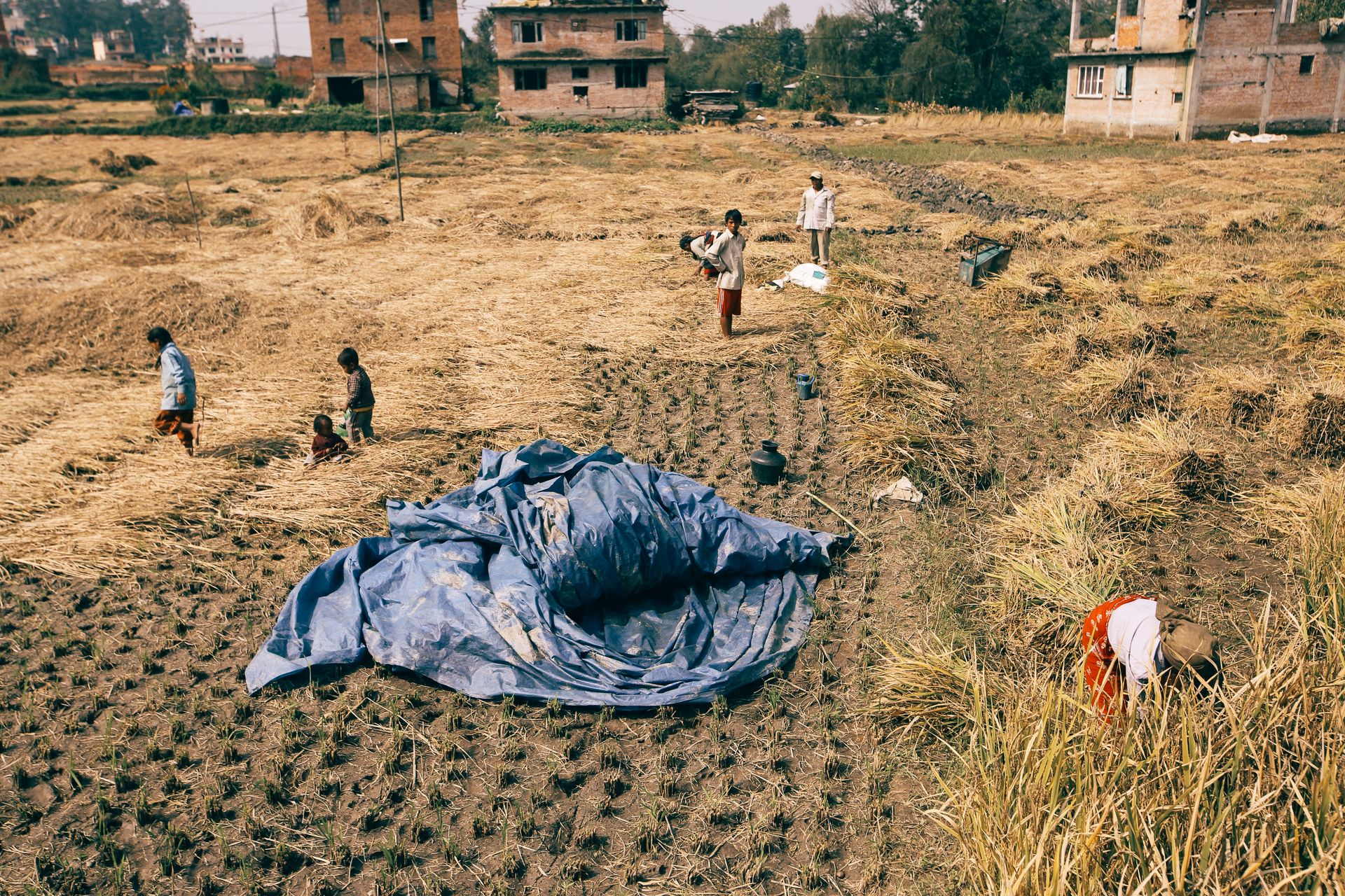 Aerial view of farmers harvesting crops in a rural field, near rustic buildings.