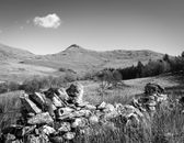 Grayscale Photo of Mountain Range