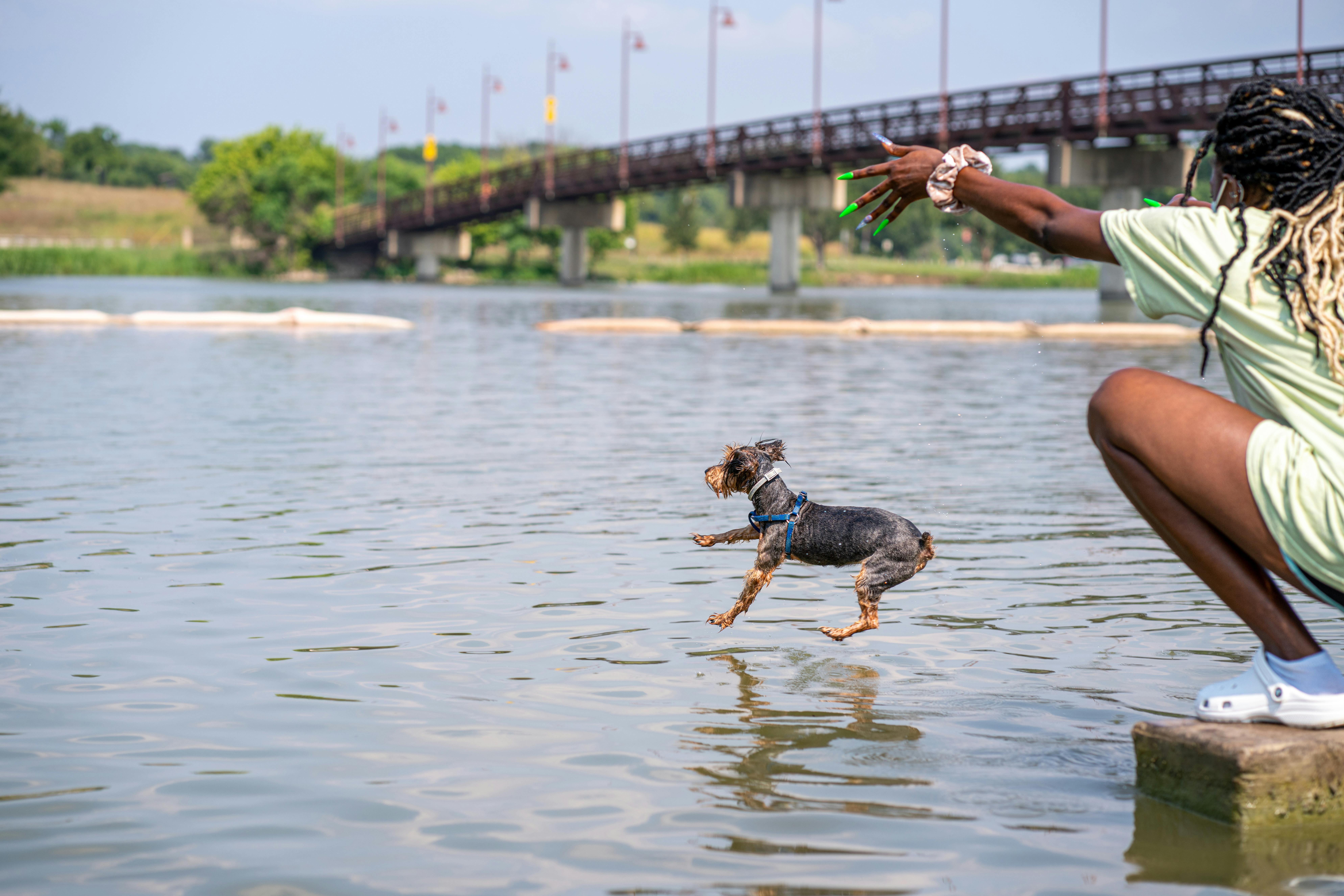 Woman Throwing Dog into River · Free Stock Photo