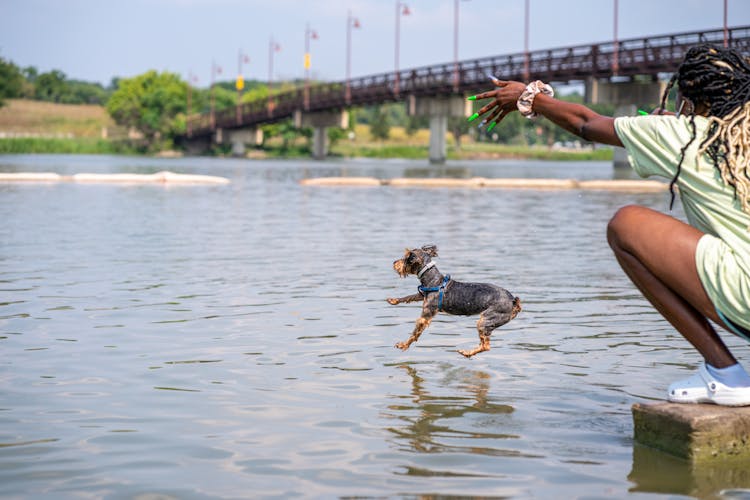 Woman Throwing Dog Into River