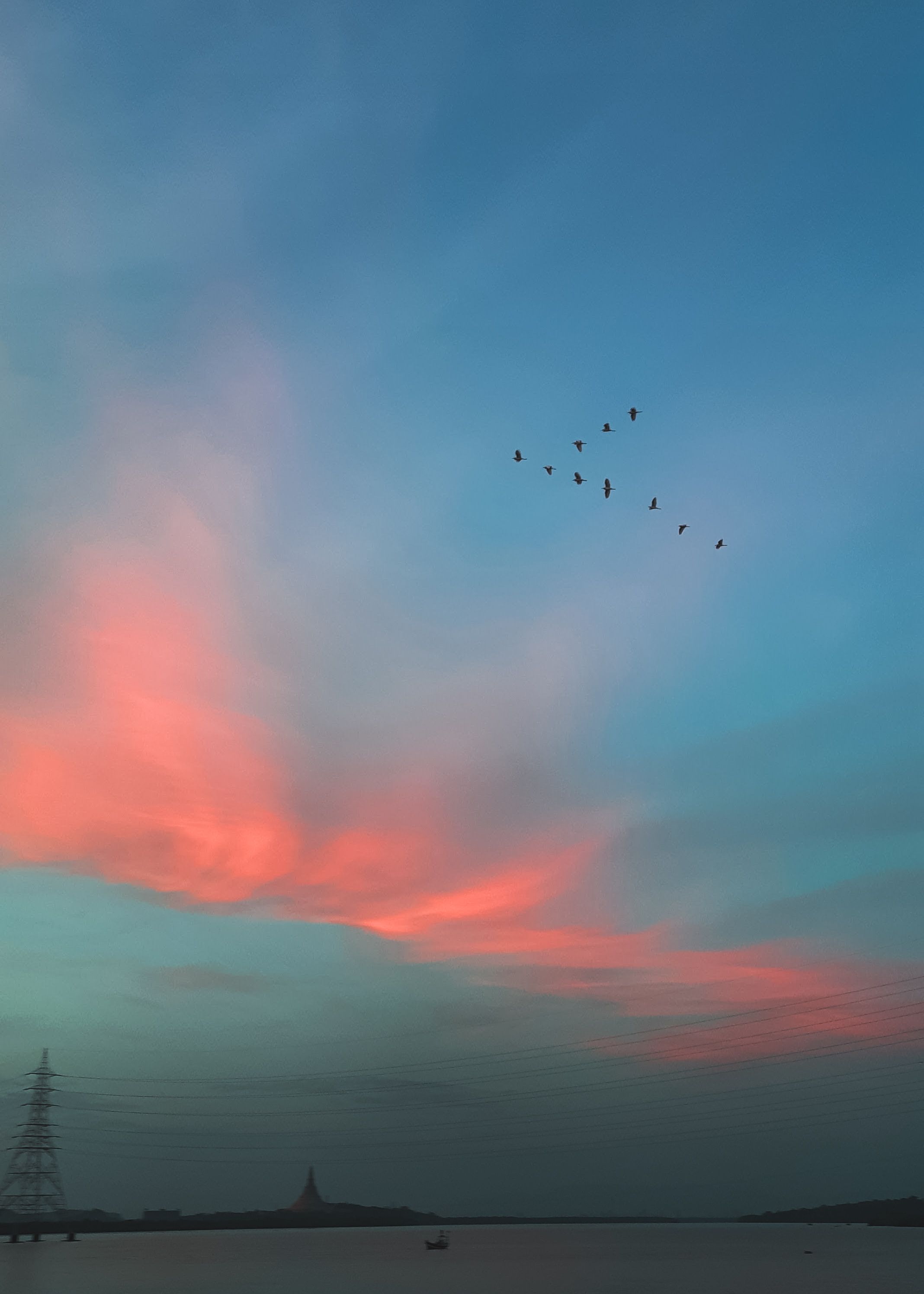 Flock of Birds Flying Under Blue Sky · Free Stock Photo