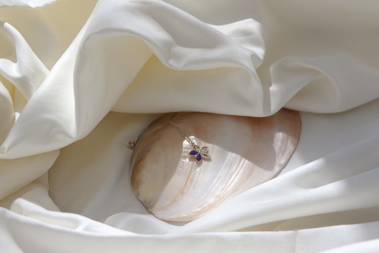 A Clam With Silver Necklace On White Fabric