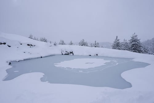 Snow Covered Landscape Under White Sky