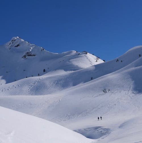 下雪的, 冬季, 大雪覆盖 的 免费素材图片