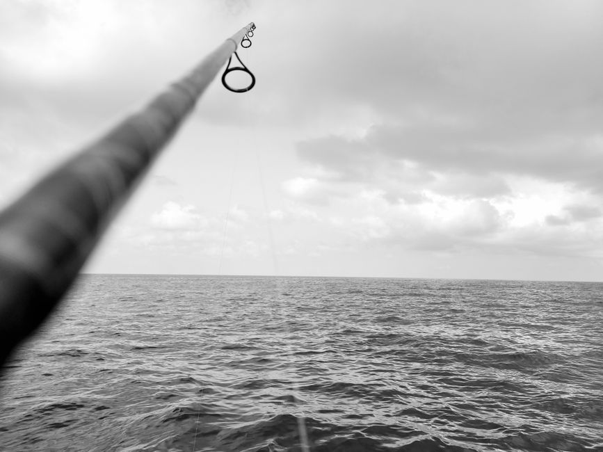 潮抜き中のロッドとリールを水洗いする様子