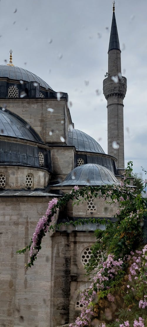 Бесплатное стоковое фото с мечеть, молиться