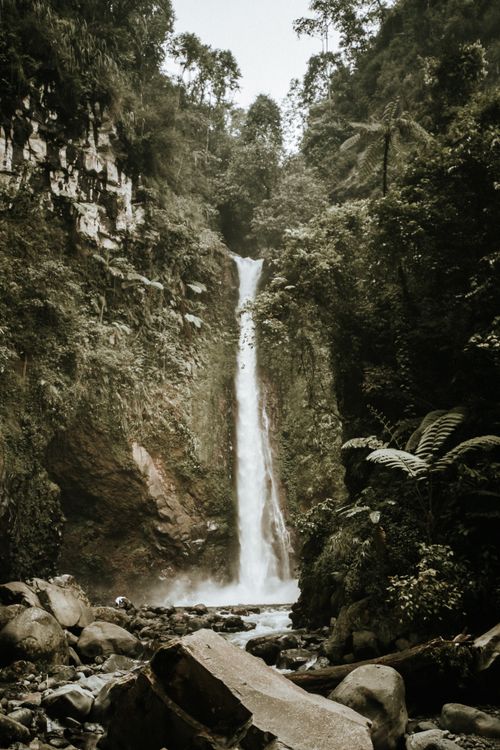 Free A stunning vertical waterfall plunging down a rocky cliff surrounded by dense green foliage. Stock Photo