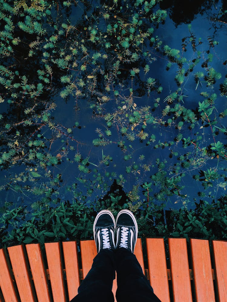 Person Wearing Black Vans Old Skool Sneakers Facing Body Of Water