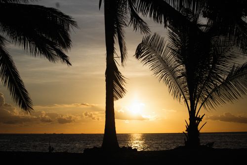 Free Serene tropical sunset with ocean waves and silhouette palm trees. Stock Photo