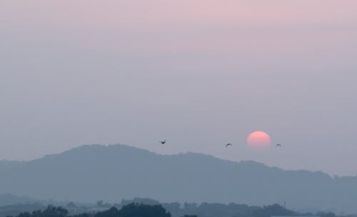 Foto profissional grátis de pôr do sol