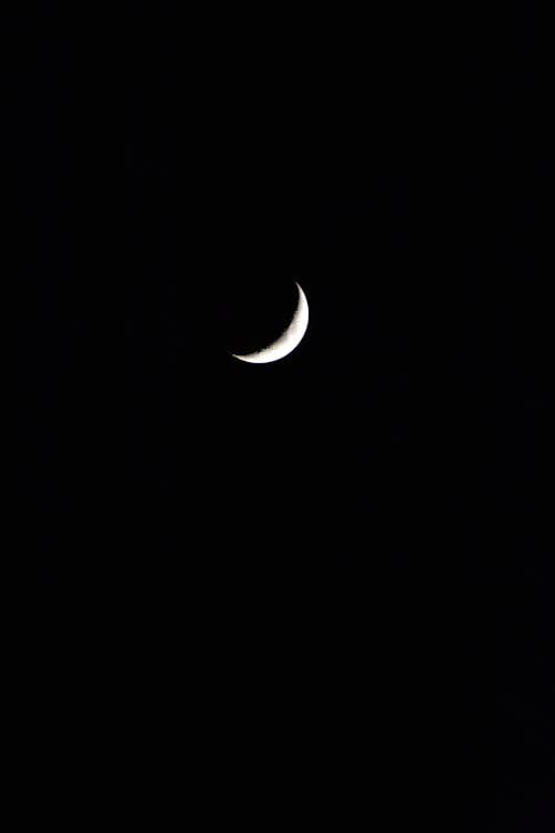 Free 
The Crescent Moon in the Dark Sky Stock Photo