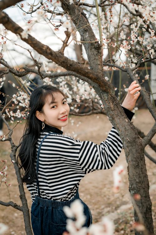 Free Smiling young woman in striped shirt admires spring blossoms in a park. Stock Photo