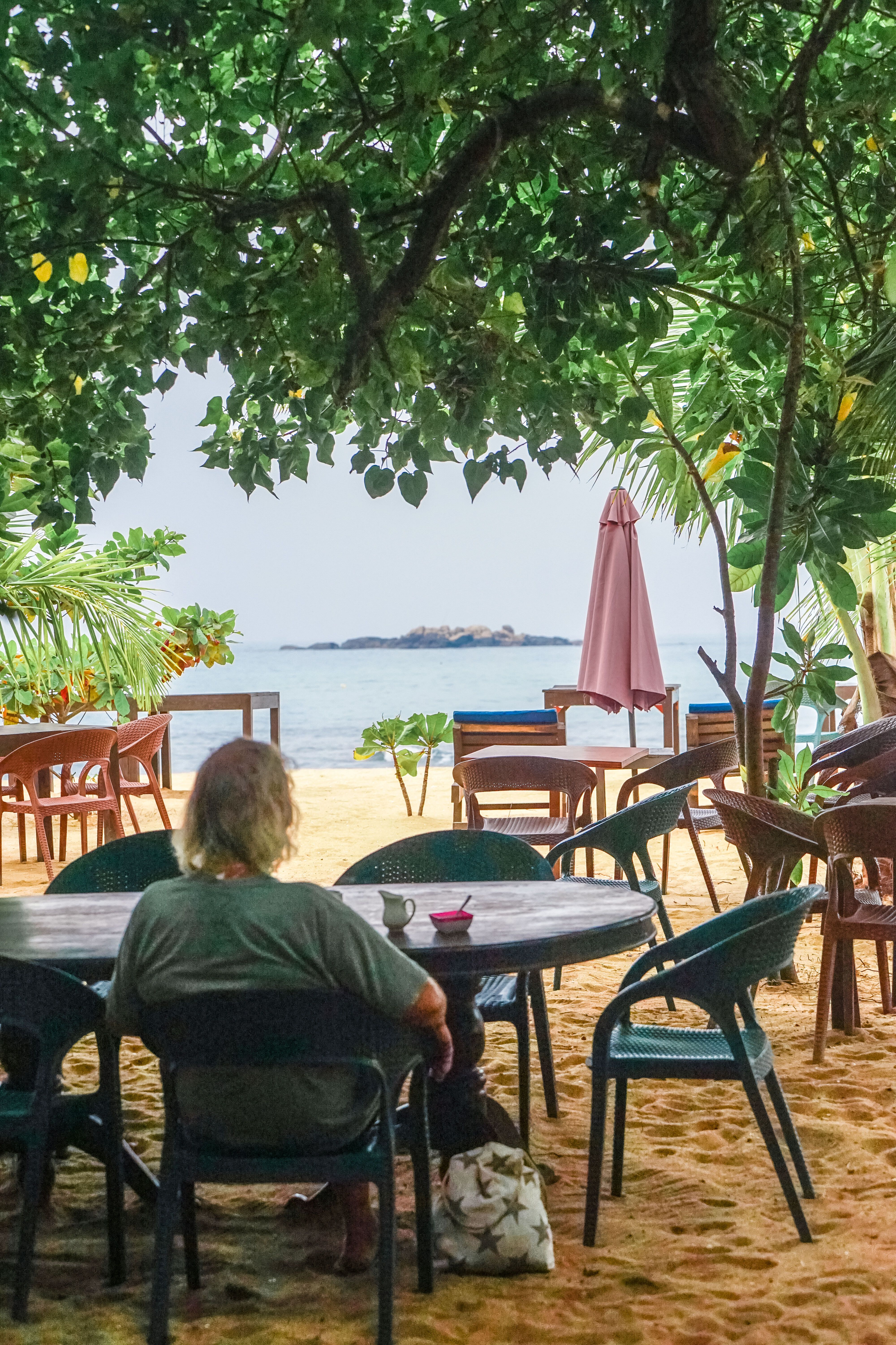 Back View of a Man Sitting on a Beach · Free Stock Photo