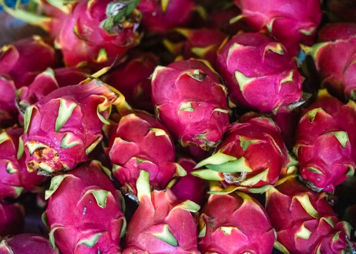 Dragon Fruit - Urban Goes Green Plant Guide