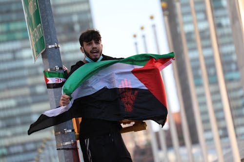 Foto d'estoc gratuïta de bandera dels emirats àrabs units, home, manifestació