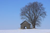 Brown Wooden House Near Bare Tree on Snow Covered Ground